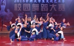 FD首席舞者俱乐部在合肥大学生文化艺术季校园舞蹈大赛中夺魁 - 合肥学院