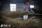 安徽五河：竹扫帚“扫”出扶贫致富路【组图】 - 农业厅