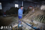 安徽五河：竹扫帚“扫”出扶贫致富路【组图】 - 农业厅