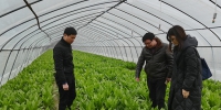安徽省农业气象中心开展连阴雨灾情影响调查 - 农业厅
