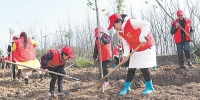 安徽省今春已完成植树造林54.18万亩 - 农业厅