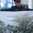 蚌埠一名小学保安国画惊艳众人 深藏不露的高手 - 安徽网络电视台