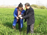 霍邱宋店农技人员指导农户开展小麦“三防一促”活动2.jpg - 农业厅
