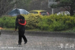 安徽多地降温超20℃ 大雨冲刷助芜湖空气质量全国第一 - 安徽网络电视台