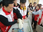 凤阳县红十字会应邀来校开展应急救护培训 - 安徽科技学院