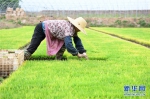 一季度安徽全省农民人均收入4726元 同比增长9.9% - 徽广播