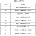 最新消息9家皖企入选《财富》中国500强榜单 - News.Hefei.Cc