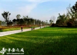 安徽铜陵：发扬铜都精神  筑造绿色铜陵 - 中安在线