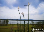淮北绿金湖：采煤塌陷区逆袭成市区最大湖泊 - 中安在线