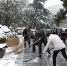 省档案馆组织志愿者开展“扫雪除冰保安全”活动 - 档案局