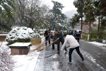 省档案馆组织志愿者开展“扫雪除冰保安全”活动 - 档案局