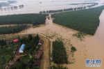 7月14日 安徽发布地质灾害橙色预警 - 徽广播