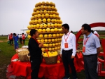 卢平赴泗县参加2020中国农民丰收节 - 合肥学院