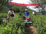 旌德：召开茶园机械化中耕现场会 - 农业机械化信息