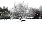 初雪校园  岁月静好 - 合肥学院