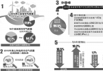 千年古村斥资百万引入净水工程 - 中安在线