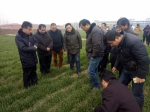农业部植保总站调研埇桥保护性耕作技术应用情况 - 农业机械化信息