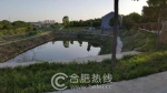 悠山澜畔生态农庄推行认领自修景观树活动！ - News.Hefei.Cc