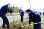 监狱民警植树添绿[2017年3月7日安徽法制报] - 司法厅