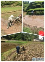 东临溪镇：大地春光好  百姓春耕忙 - 安徽新闻网