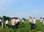 阜阳市农机局召开全市秸秆机械化还田座谈会 - 农业机械化信息