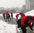 全校迎战大暴雪    党员干部当先锋 - 合肥学院