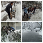 机械工程学院积极组织师生党员扫雪除障 - 安徽科技学院