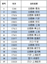 受降雪影响 合肥站、合肥南站多趟列车停运(附车次) - 中安在线