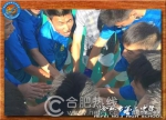 喜报：合肥三中手球健儿获全国中学生手球比赛U18男子组季军 - News.Hefei.Cc