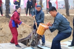 合肥市首届农耕健身大赛举行 田间地头变健身基地 - 省体育局