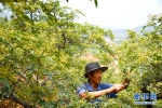 前5月沪苏浙来皖投资保持高位增长 - 徽广播